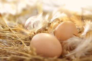 Meubelstickers fresh eggs in a nest © DDsign