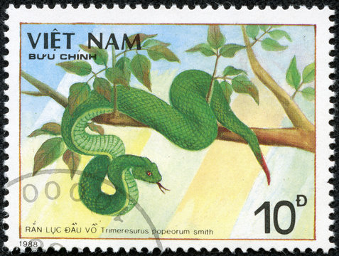 stamp printed in VIETNAM shows a Trimeresurus popeorum smith