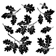 Oak branches with acorns, silhouettes - obrazy, fototapety, plakaty
