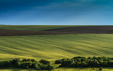 Fototapeta premium Eastearn European countryside and evening light in summer