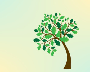 Naklejka na ściany i meble green oak tree, stylized, vector for design