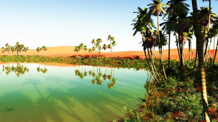 Obraz premium Beautiful natural background - African oasis