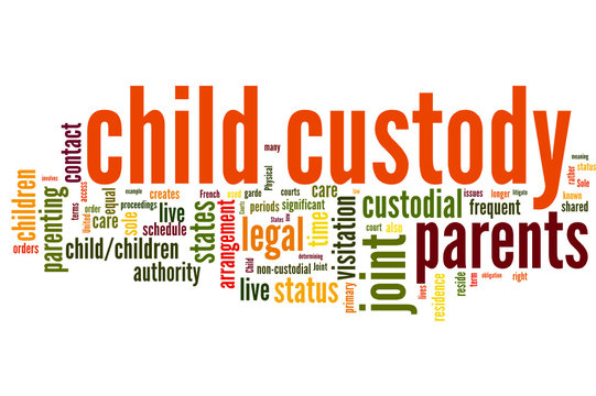 Child Custody (guardianship, Child, Care, Custody)