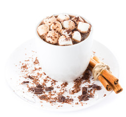 Hot dark chocolate with mini marshmallow  and cinnamon in a whit