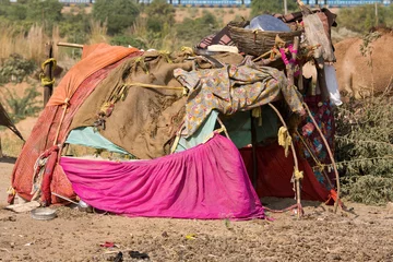  The poor area in the desert near Pushkar, India © OlegD