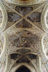 Obraz premium Painted on the arches of the Latin Cathedral in Lvov