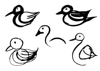 Bird sketches