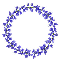 Circle frame of blue wild flowers