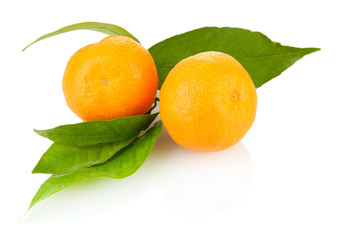 Ripe sweet tangerines with leaves, isolated on white