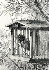 Cage for an insect