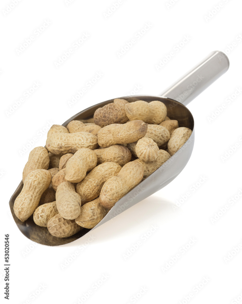 Canvas Prints nuts peanuts isolated on white