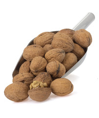 walnuts isolated on white