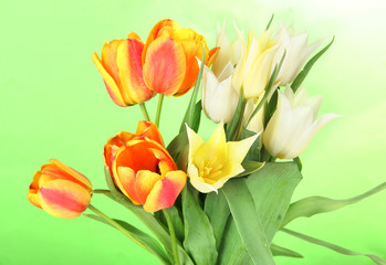 Beautiful white and orange tulips on color background