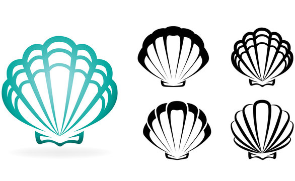 Shell collection - vector silhouette illustration