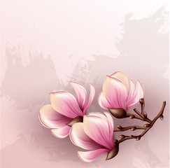 Magnolia branch watercolor illustration