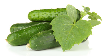 Tasty green cucumbers, isolated on white
