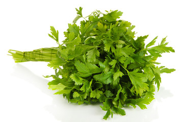 Useful herbs isolated on white