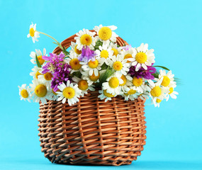 Beautiful wild flowers in basket, on blue background