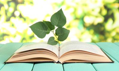 Book with plant on table on bright background