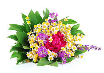 Bouquet of wild flowers, isolated on white