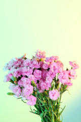 Many small pink cloves on light green-yellow toned