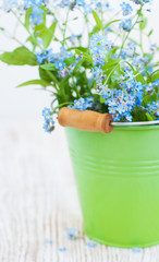 Bunch of forget-me-nots flowers