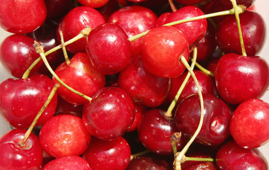 Cherry background