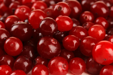 Ripe red cranberries, close up.