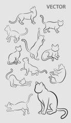 Cat Gesture Sketches