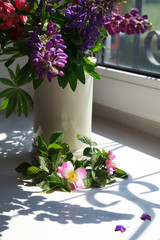Pink flowers blooming dogrose and lupines in a vase on a windows