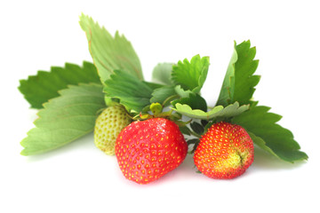 Strawberry with leaves