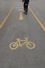 Bicycle lane in public park