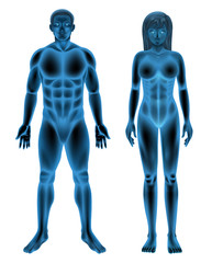 Male and female human body