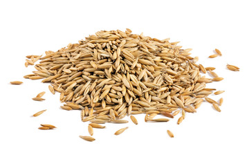 A pile of oat grains