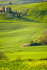 Obraz premium morning on countryside in Tuscany