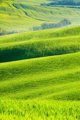 Rolling green hills