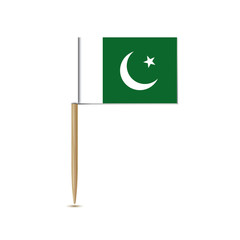 Pakistan flag