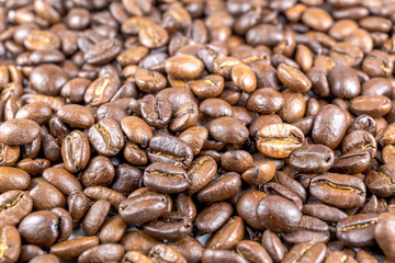 コーヒー豆