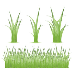 Set of Green grass