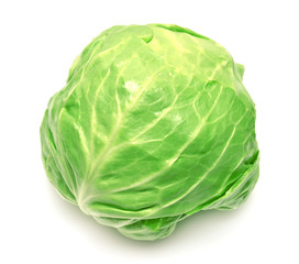 Fototapeta premium Cabbage