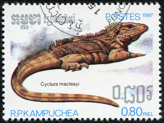 stamp shows the critically endangered Lesser Caymans Iguana