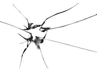 broken glass, macro photo on white