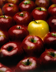 red apples with the exception of a yellow