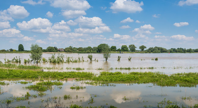 High water level in the Dutch rivers