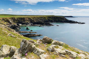 West Wales coast Deadmans Bay near Skoma island © acceleratorhams
