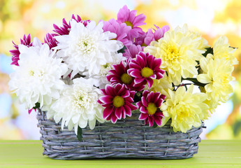 Bouquet of beautiful chrysanthemums in wicker basket