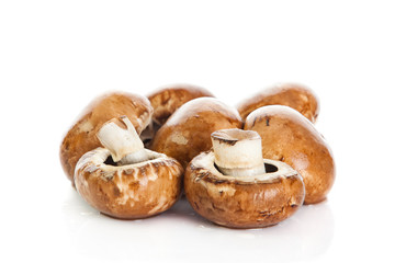 tulips in basket isolated on white background. colors