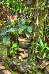 Herrlich grüne Wildnis