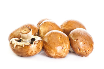 tulips in basket isolated on white background. colors