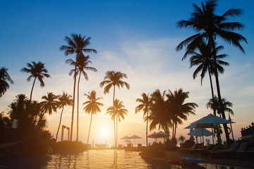 Fototapeta na wymiar sylwetki palmy na zachód słońca.